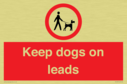 dogs-on-lead-symbol-with-black-text-on-white-background~